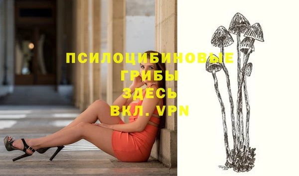 таблы Ессентукская