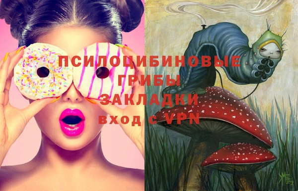 таблы Ессентукская