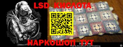 гидропоника Гусев