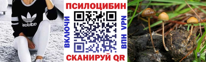 Псилоцибиновые грибы Magic Shrooms  Азов 