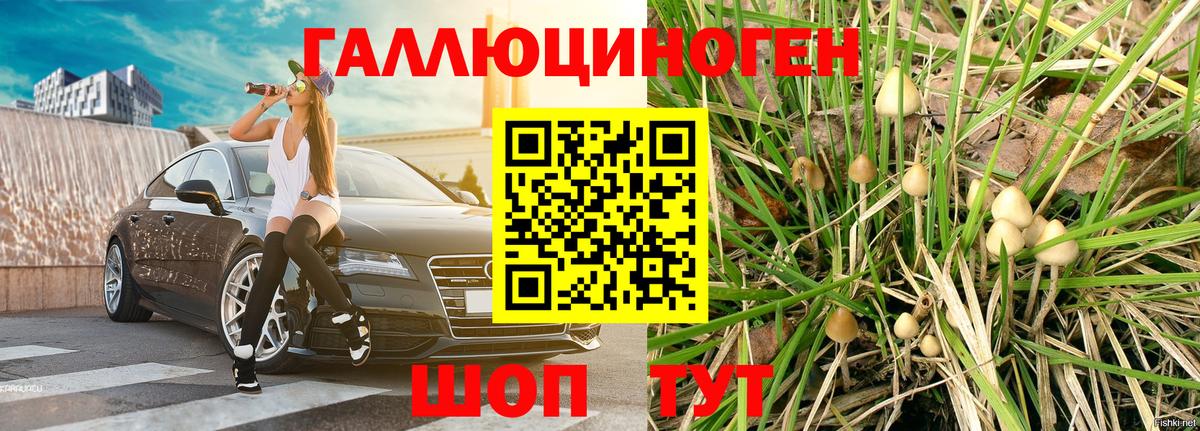 Галлюциногенные грибы MAGIC MUSHROOMS  Вход с VPN  Азов 