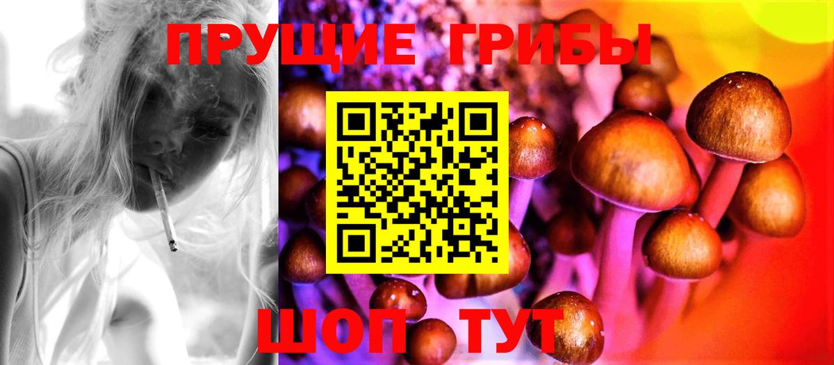 Псилоцибиновые грибы Psilocybe Азов